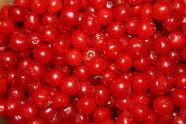 Similar image 154898