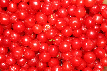 Similar image 154899