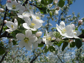 Similar image 154908