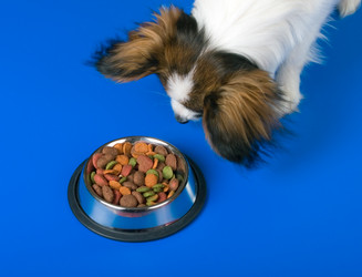 Similar image 154927