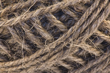 Similar image 154963