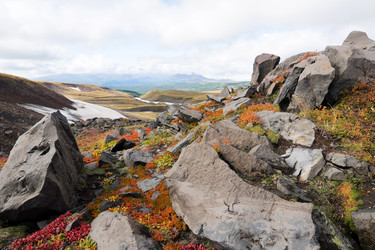 Similar image 154998