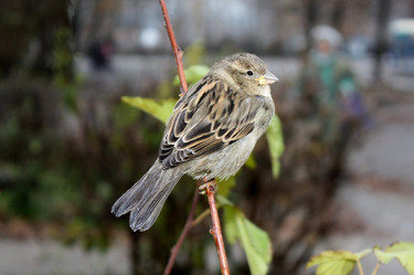 Similar image 155003