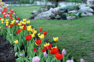 Similar image 155009