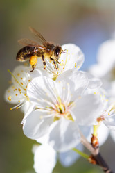 Similar image 155057