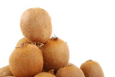 Similar image 155082