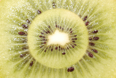 Similar image 155090