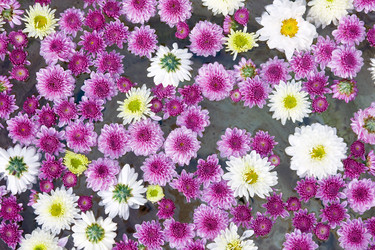 Similar image 155091