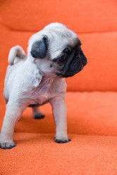 Similar image 155100