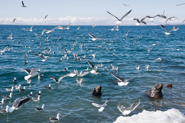 Similar image 155101