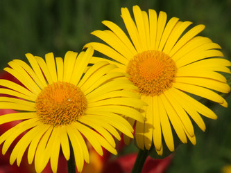 Similar image 155113