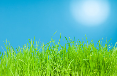 Similar image 155134