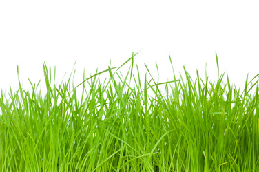 Similar image 155136