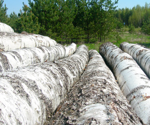 Similar image 155155