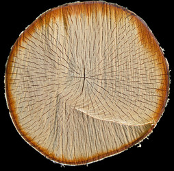 Similar image 155157