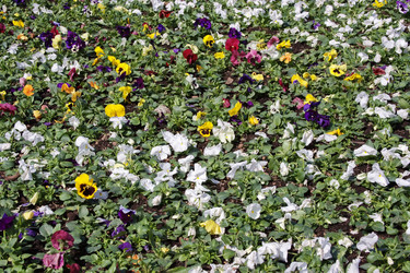 Similar image 155200