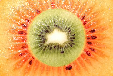 Similar image 155242