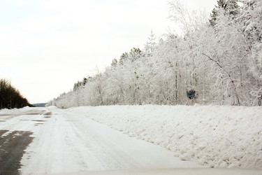 Similar image 155284