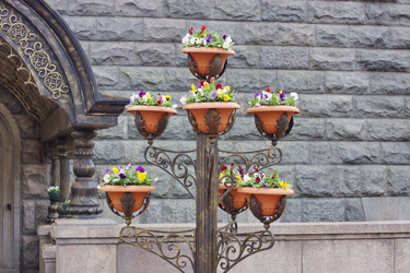 Similar image 155286