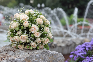 Similar image 155295