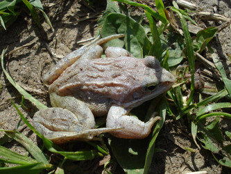 Similar image 155309