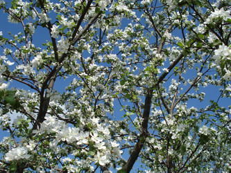 Similar image 155310