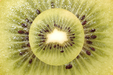 Similar image 155357