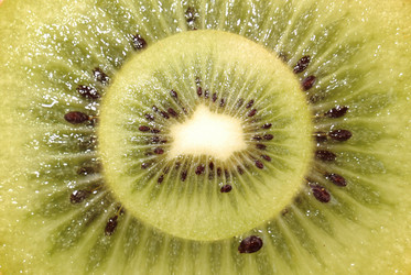 Similar image 155358