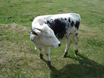 Similar image 155385