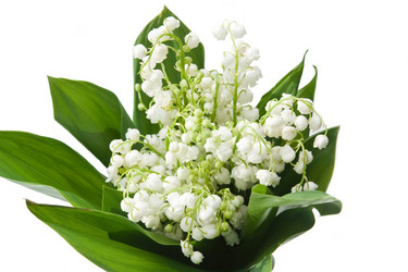 Similar image 155442