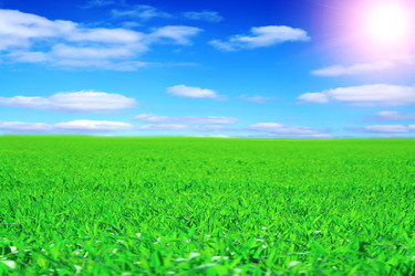 Similar image 155450