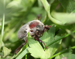 Similar image 155451