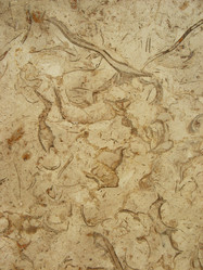 Similar image 155460