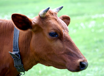 Similar image 155464