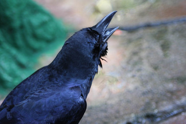 Similar image 155467