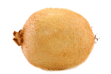 Similar image 155468