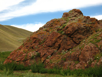 Similar image 155471