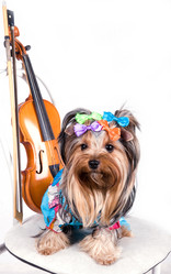 Similar image 155472