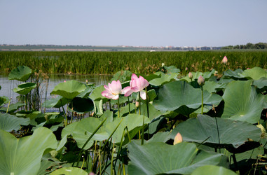 Similar image 155496