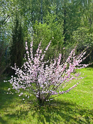 Similar image 155502