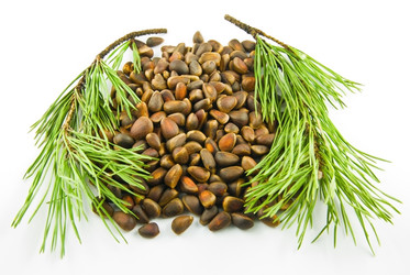 Similar image 155509