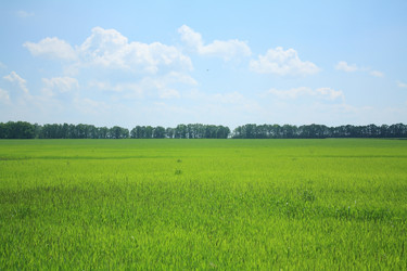 Similar image 155523