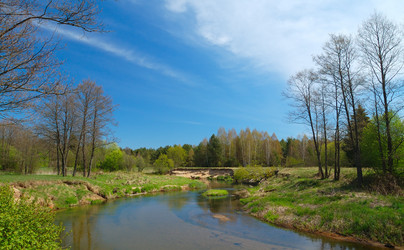 Similar image 155538