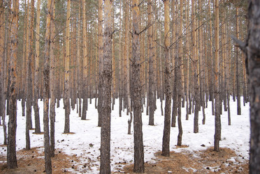 Similar image 155548