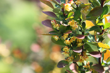 Similar image 155555