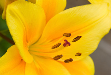 Similar image 155556