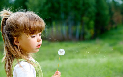 Similar image 155561