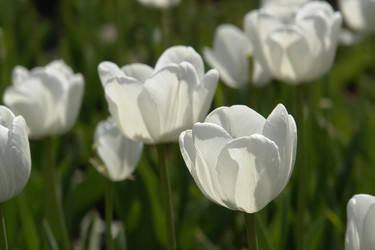 Similar image 155600