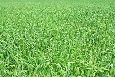 Similar image 155671