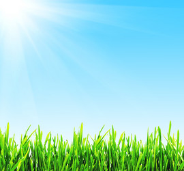 Similar image 155694